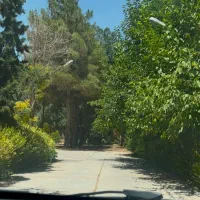 باغ-گودگویم-1860-متری