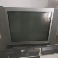 تلوزیون