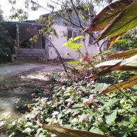 زمین ۴۳۰متری با خانه ۷۰متری|فروش زمین و ملک کلنگی|رضوانشهر, |دیوار