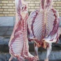 ذبح و قصابی گوسفند