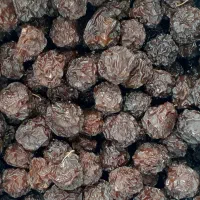 الو بخارا بدون هسته ملس درشت درجه یک مراغه|خوردنی و آشامیدنی|تهران, زعفرانیه|دیوار