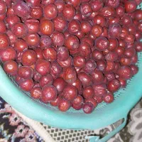 عناب|خوردنی و آشامیدنی|بیرجند, |دیوار