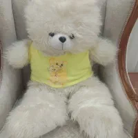 عروسک خرسی بزرگ