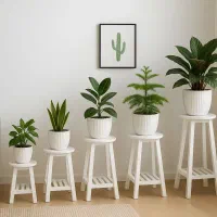 استندگلدان مجموع ۵ عدد