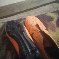 کفش|کیف، کفش، کمربند|شوشتر, |دیوار