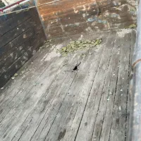 کفی باری فلزی|قطعات یدکی و لوازم جانبی|ری, ولی آباد|دیوار