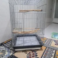 قفس عروس هلندی