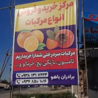 فروش نارنگی برگدار وتامسون برگدار و...|عمدهفروشی|قائمشهر, |دیوار