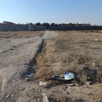 فروش زمین ماهدشت کوی راشته|فروش زمین و ملک کلنگی|ماهدشت, |دیوار