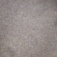 فروش بذر یونجه