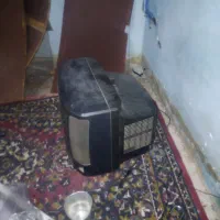 پلوپز. چراغ گازی. تلویزیون 14