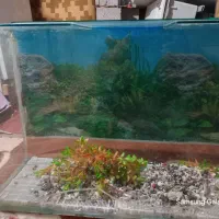 فروش اکواریم