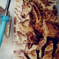 سوخته نگاری یعنی نقاشی با اتیش|تابلو، نقاشی، عکس|تهران, سردارجنگل|دیوار