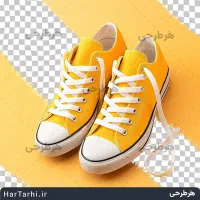 یک جفت کفش پیدا شده