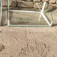 جا اجیل وخشکبار|ظروف سرو و پذیرایی|الشتر, |دیوار