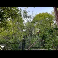 ویلاباغ دماوند|فروش خانه و ویلا|دماوند, دماوند|دیوار