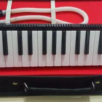 ملودیکا|پیانو، کیبورد، آکاردئون|مشگین شهر, |دیوار