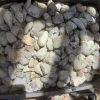 فروش انواع شجر بهاره و پاییزه و انواع نگین