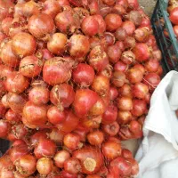 انار ربی 30 کیلویی