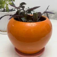 11 گلدان سفالی و سرامیکی (ابعاد در توضیحات)