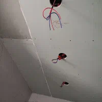 برقکار برقکش برق کشی