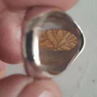 انگشتر شجر قائنات|جواهرات|خمینی‌شهر, |دیوار