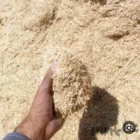 کاه جو سر زمین فوری