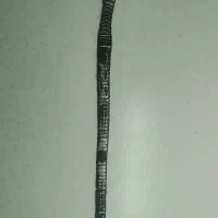 تسبیح هسته خرما