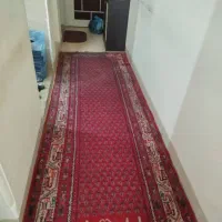 فرش دستبافت قدیمی 3متری|فرش|صدرا-فارس, فاز ۱|دیوار