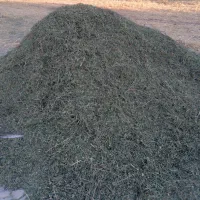 کاه یونجه