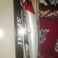 فروش لور آب شور ماهیگیری|ماهیگیری|رفسنجان, |دیوار