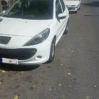۲۰۷ بیرنگ سقف پانا در حد