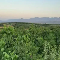 زمین مالک