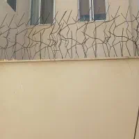 عنواع حفاظ شاخ گوزنی|خدمات پیشه و مهارت|الوند, |دیوار