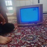 تلویزون