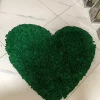 پادری قلبی
