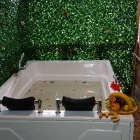 کلبه بکر جنگلی  دوخوابه جکوزی دار