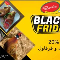 گوشت تازه و منجمد - مشهد - بسته بندی وکیوم