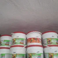 پودر ژله سطلی فرمند