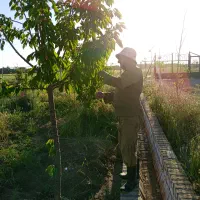 نگهبان باغ 24 ساعته
