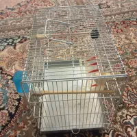 قفس سهره با لوازم نو