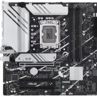 مادربردایسوس