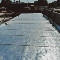 فروش و نصب ایزوگام دلیجان|خدمات پیشه و مهارت|نیشابور, ناسیونال|دیوار