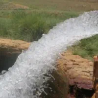 اجاره زمین نو کشاورزی قطره ای مناسب کاهو و صیفی