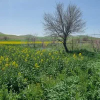 فروش-زمین-کشاورزی-قاراوا-گوره