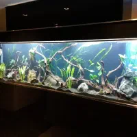 نصب.  راه اندازی، سرویس انواع آکواریوم