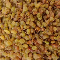 کشمکش تیزابی درجه یک