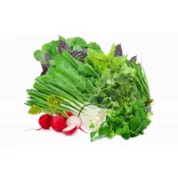 سبزی پاک کنی خانگی با کیفیت