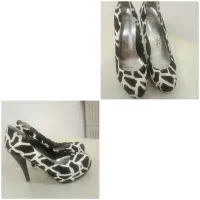 کفش مجلسی|کیف، کفش، کمربند|قم, شاه ابراهیم|دیوار