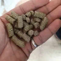 یونجه خشک پلت